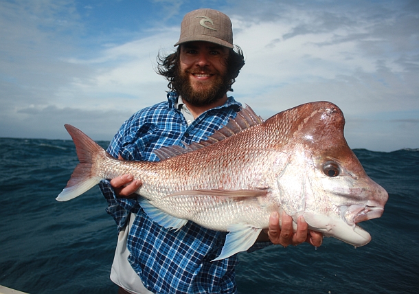 Snapper fans descend on Coffs